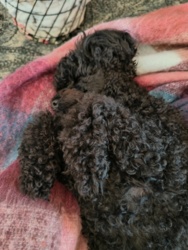 9d5b9b22-2087-4adf-9fbd-bb165ebc1804