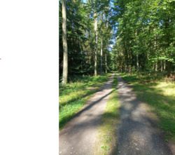 deb060ca-e180-4c6d-97d4-eaff3ee00ab5