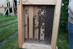 60c7d318-9b3c-4f14-b861-04d2a8262790