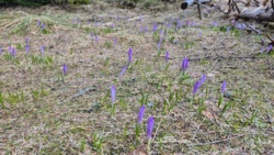 02f8a0af-f16f-4703-a65e-fd592d489610