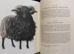 59ba74b1-aea0-4acd-8b6e-b4221c340318