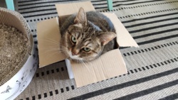 b00f409f-d5da-4b9d-84a1-ce1dfbd41434