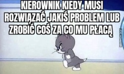 8a52ebf1-2791-436f-a225-ea5d040a0d90