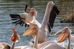 c8bb1d06-4420-4608-82ad-870563e83130