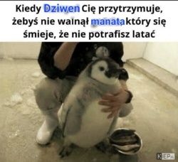 07f3251f-5e6d-451f-97b0-3ac31eb752bc