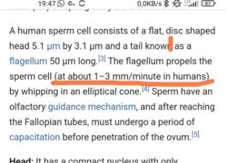 d1875257-64d2-48d4-a41e-106ea8a85561