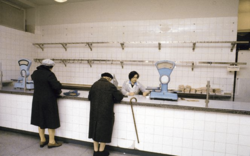 d2e7d598-cc5e-4f05-b7b6-0b2ec945c164