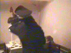 2b6328a9-d5a5-4e4d-af72-3cf901d4580a