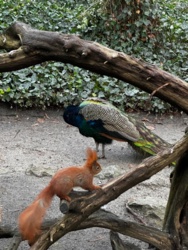 bd8e4105-862c-4853-9b67-a43ebce063c2