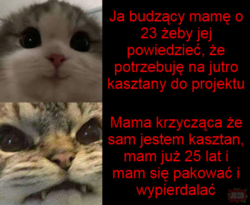 9137ddf6-8e5f-4c57-a240-394ec8cc60ab