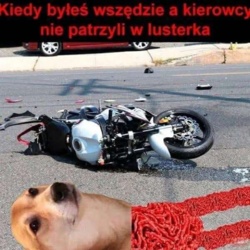 4c574dc0-16ee-4728-87a7-360b960da2f7