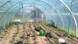 ce0c95c1-34e3-41ad-9a06-d79d39c75b75