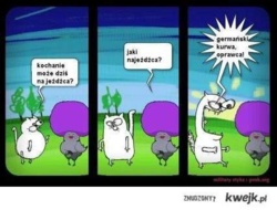 56da98f1-382f-424a-8500-e6ed15d949fd