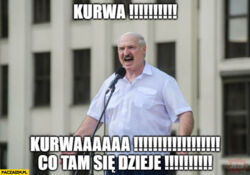 adb25b66-02f2-4bdd-8da2-381c056dbea5