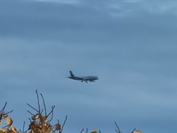 c3626c33-f1f7-4324-8f2d-cf3139d240aa