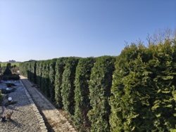 1b0dd934-00ff-4115-9af3-64a1650a9599