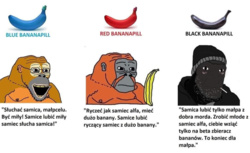 d74a38eb-6798-43ee-a2bd-58785208aa5c