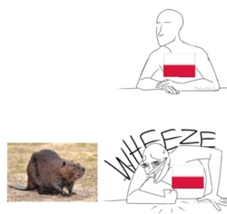 c7a95ecc-e33b-4a6c-8b57-a01c8a212053