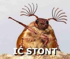 6b5aa930-43d8-43d0-8509-48ded9fef18c