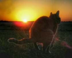 ed25e8c3-8e4a-4fad-ba3c-a29fa07dcd28