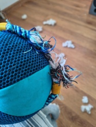 4486f838-922f-4f7f-a48b-51a86091dc6b