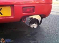 e4dd9297-787a-4d78-8266-595511aeb957