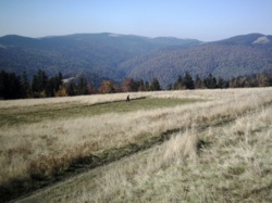 cc083751-422f-41b5-a49a-ca4b33949c0d