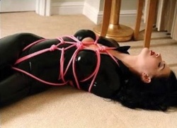 96a29e6e-b579-4d0a-9318-9ca5c91347ce