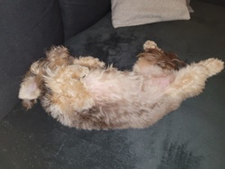 56ae1a80-d5e5-4993-8238-977fb233b188