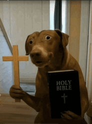 62d0c0c4-28ab-45ea-8523-82be95b910ba