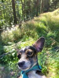 e12a9c88-5f09-4efc-b7f3-cefd1d93ab4c