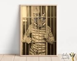 69a3bdcb-8458-4627-a9b4-74db04b69d5b