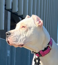 67598d49-27da-4292-b902-ba0142b3bb5f