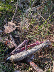 c3aceecd-78c5-4e16-8655-607cd444d34a