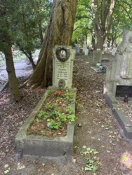 0c8c745b-804b-4641-8a18-a0c00bf3ad92