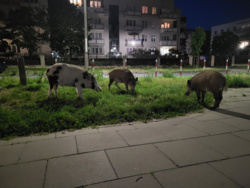 760a83a0-7fe6-458e-a2b9-40abd00653e0