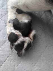 0338d724-d35d-421d-8b76-cd681b6f7a07