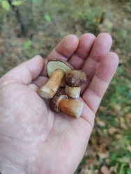 e304bd84-40f8-44fd-ab01-ec6c2336c47f