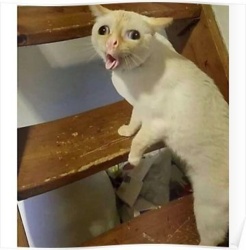 b6e07b41-b6dc-49a3-9cb8-09632f733657