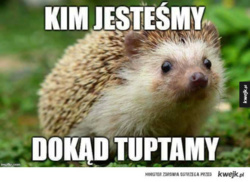 ba161d33-f286-4aac-9d66-4fa69bd5daa2