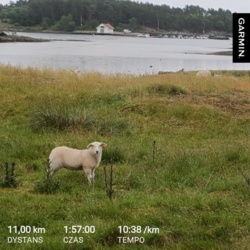 06662e15-5f51-48fd-bae1-305379d8be43