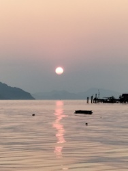 aadcd598-e8df-4985-8f8d-5f31c2f97b7f