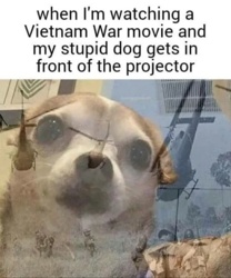 d1d089c4-f46c-4146-b70d-aa1884397b2e