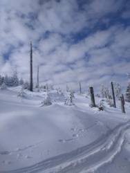 051b7cf9-cd6a-4f31-be84-464a651709bf