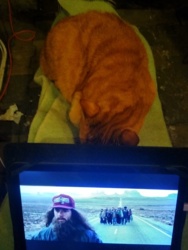 d826879c-2b3d-498a-80fc-04ce80b4377b