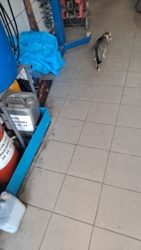 6c66252b-c58b-4e66-a696-a7f107d217e0