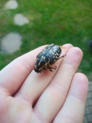 bf704702-9c2b-498e-89e5-890f81ad01aa