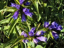 dd32cdd6-95ac-4f19-8202-644682308611