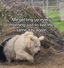 1e305b01-e9ed-4577-8a8a-5807f48c25f5