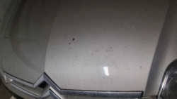 ff0821d9-5d60-4e64-8254-df22a689a14a